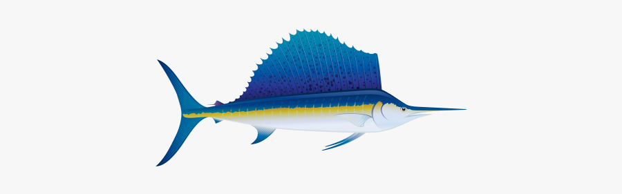 Graphic Free Sailfish Vector Blue Marlin - Swordfish, Transparent Clipart