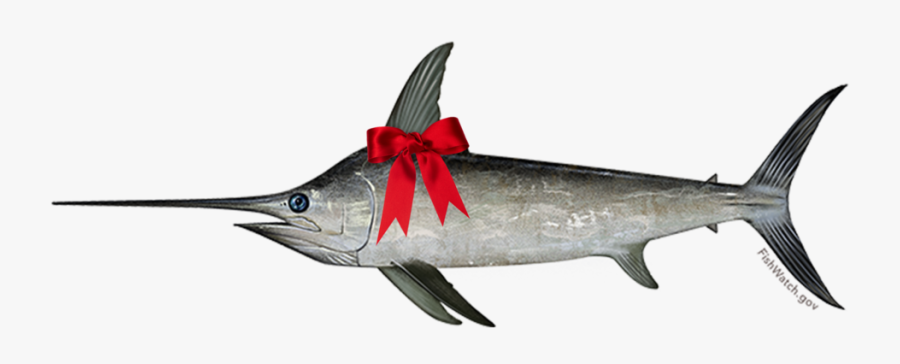 Transparent Swordfish Clipart - Sword Fish Invis Background, Transparent Clipart