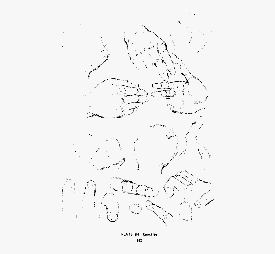 Andrew Loomis Drawing The Head And Hands 129 - Sketch, Transparent Clipart