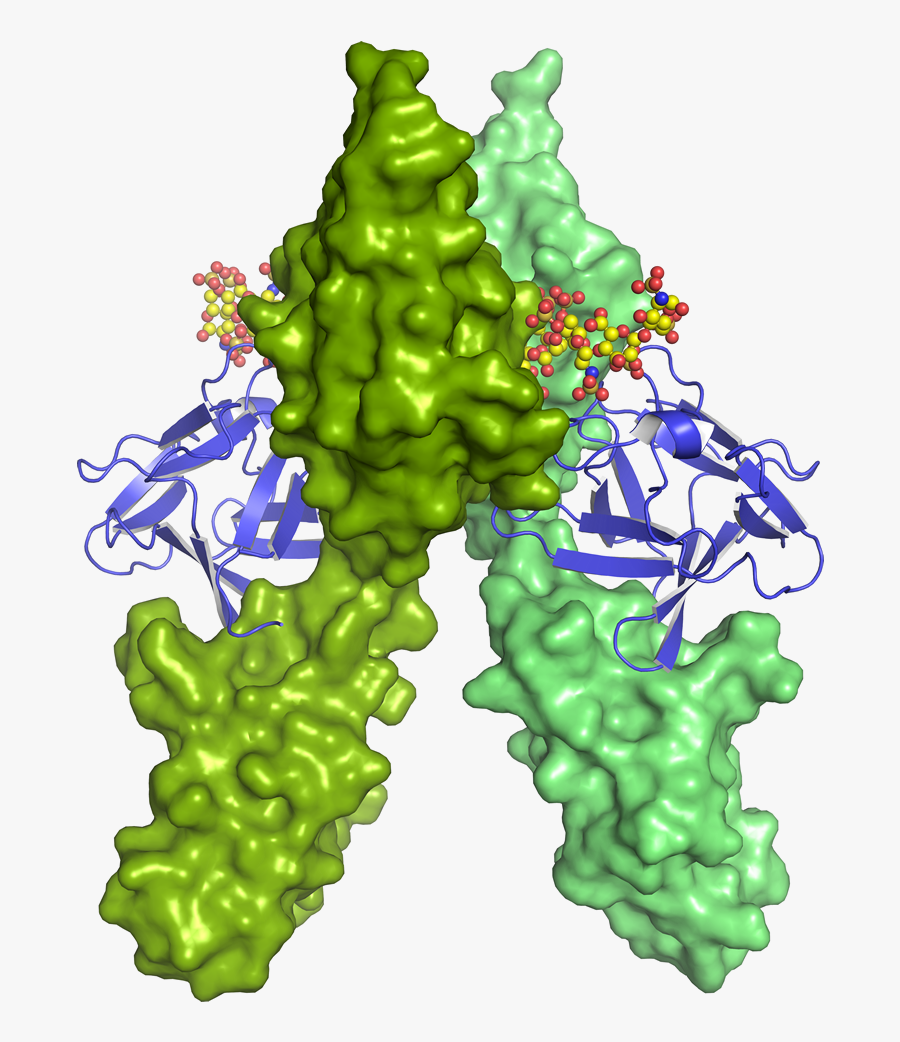 Gene Cloning & Vector Design - Illustration, Transparent Clipart