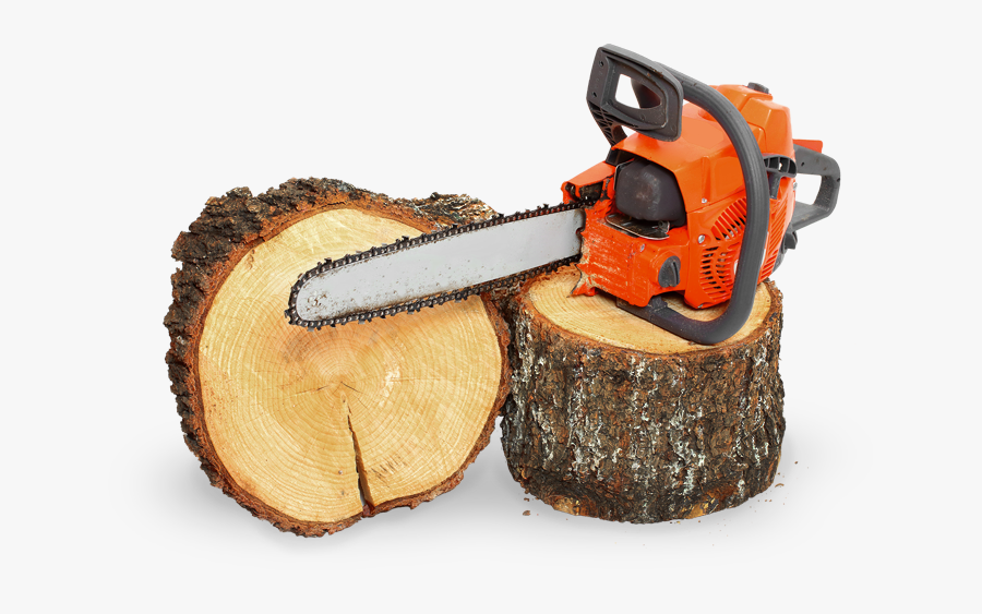 Transparent Tree Stump Png - Chainsaw Tree Png, Transparent Clipart