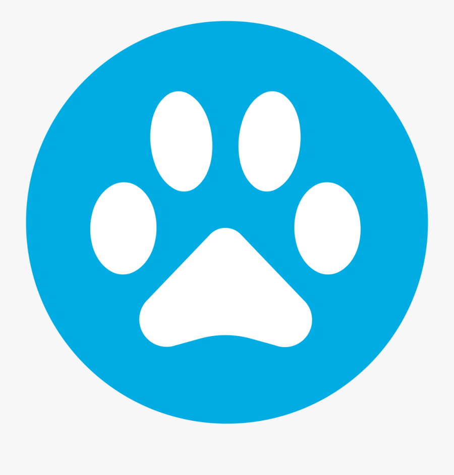 Twitter Icon For Email Signature - Personal And Social Capability, Transparent Clipart