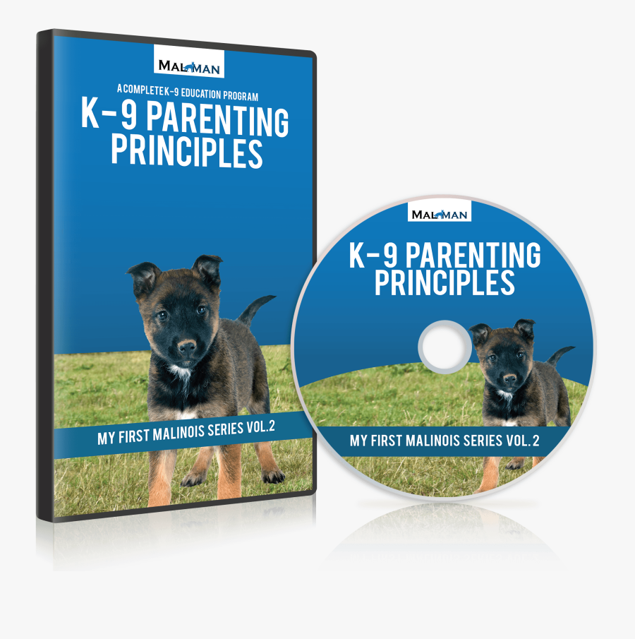 Pirate Party Of France, Transparent Clipart