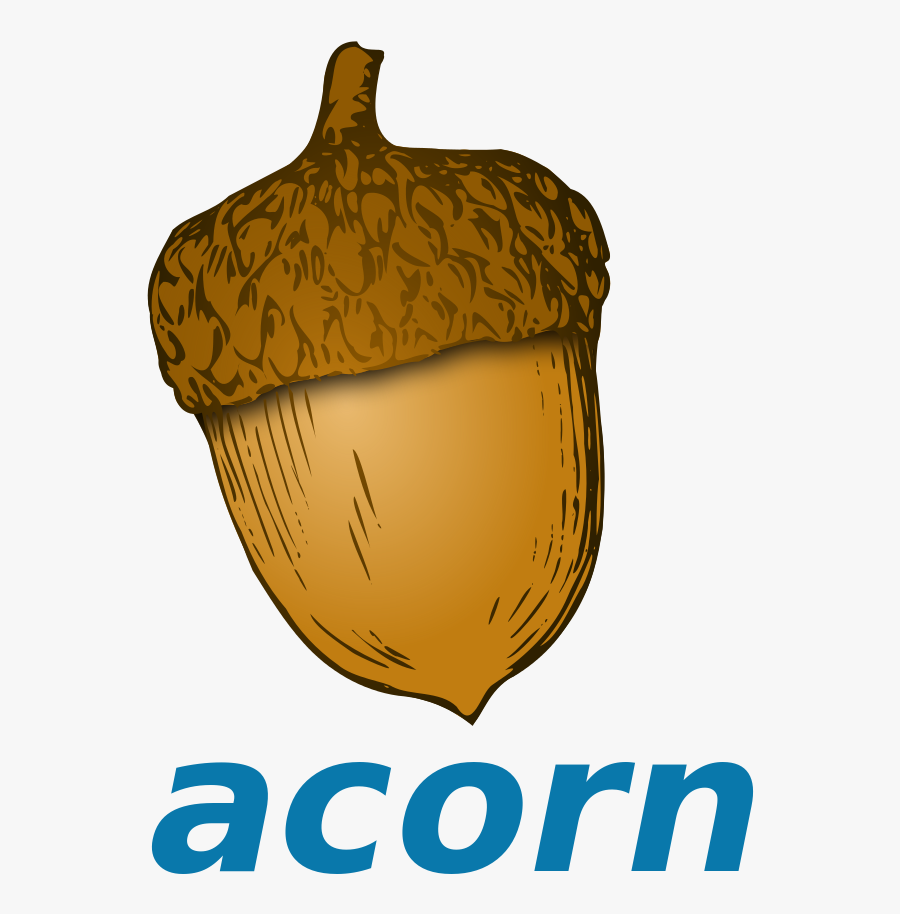 Nuts Vector Acorn - Words That End With Ut, Transparent Clipart
