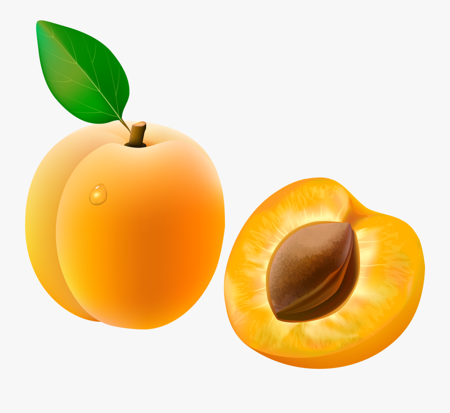 Png Clip Art - Apricot Fruit Clipart, Transparent Clipart