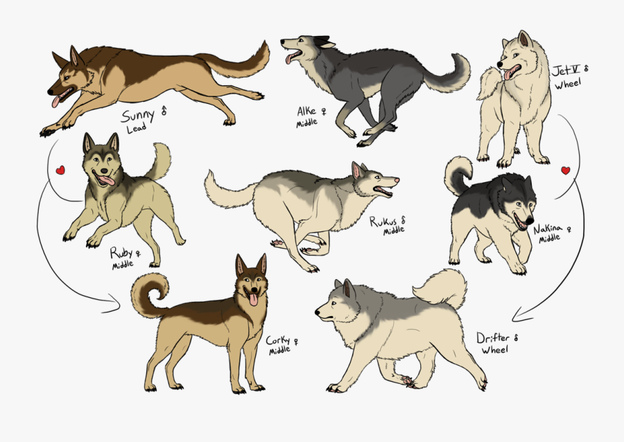 Sledding Drawing Dogsled Transparent Png Clipart Free - Dog Sled Saga Dog Breeds, Transparent Clipart