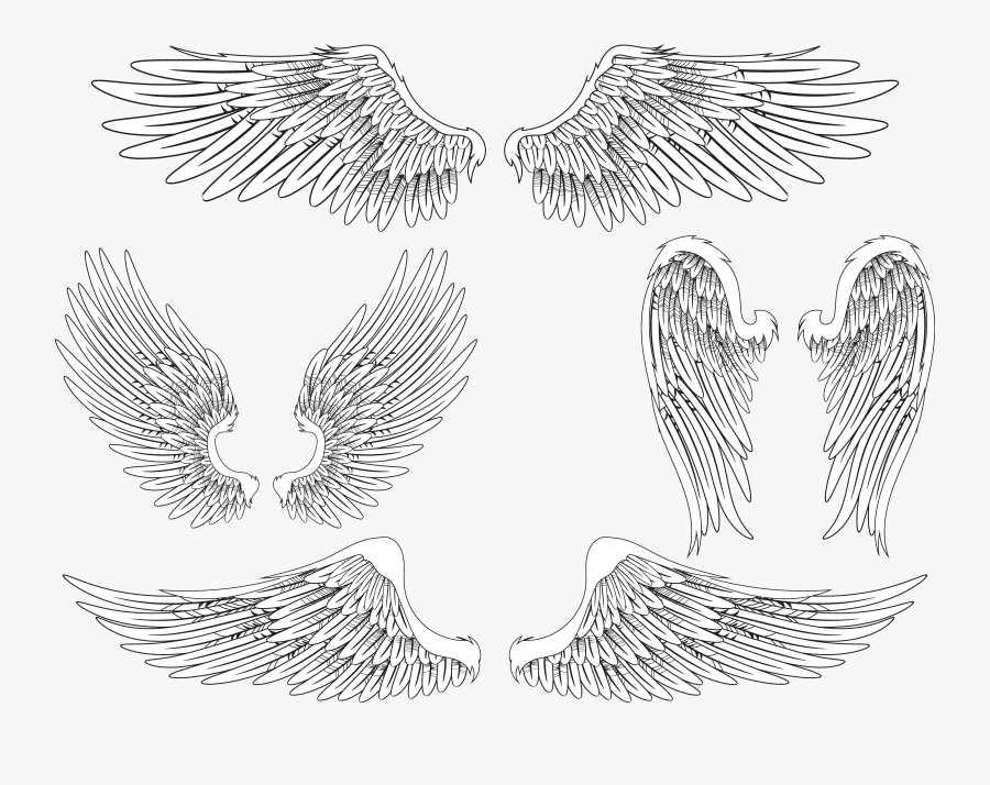 Angel Wing Bird Feather - Realistic Angel Wings Drawing, Transparent Clipart