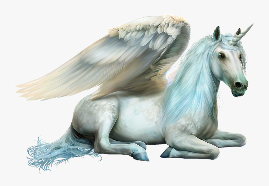Drawings Of Pegasus Laying Down, Transparent Clipart