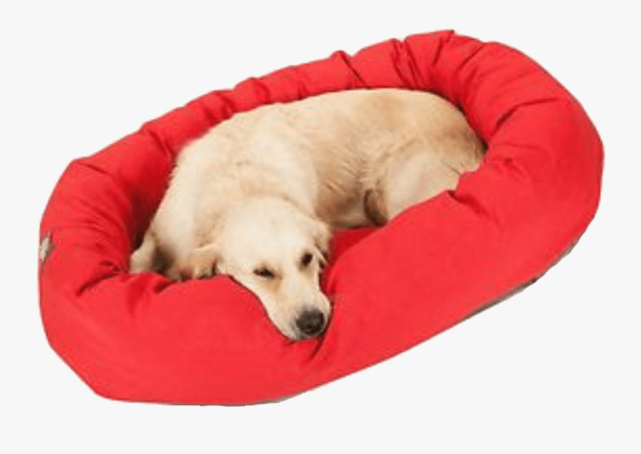 Transparent Dog Bed Clipart - Companion Dog, Transparent Clipart