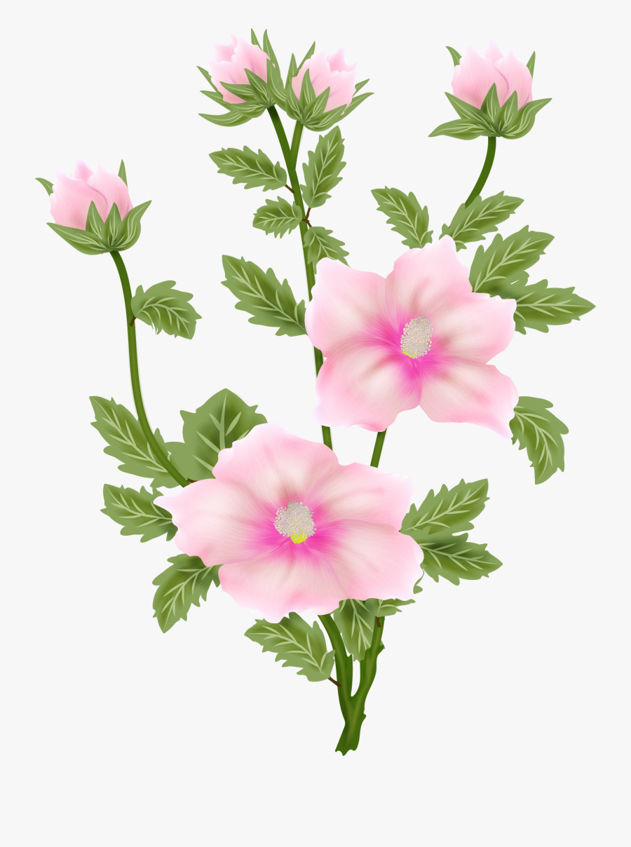 Transparent Filing Clipart - Tree Mallow, Transparent Clipart