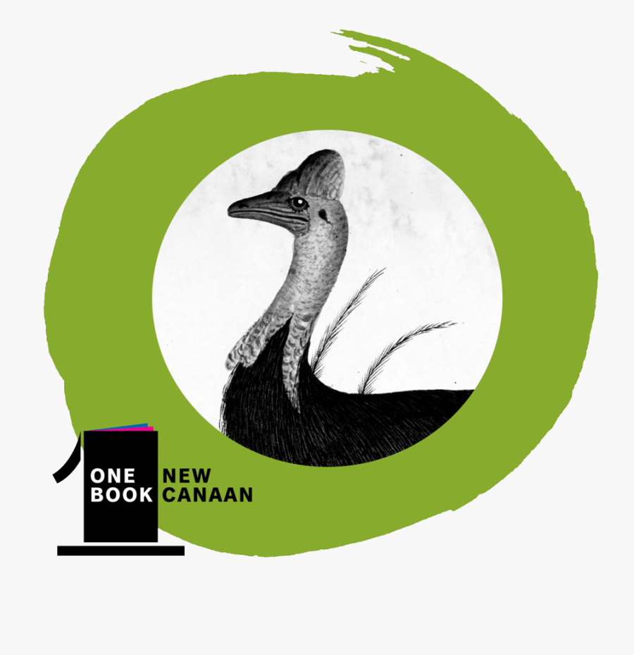 Transparent Animal Kingdom Png - Emu, Transparent Clipart