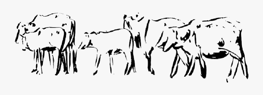 Sheep Sketch Png, Transparent Clipart