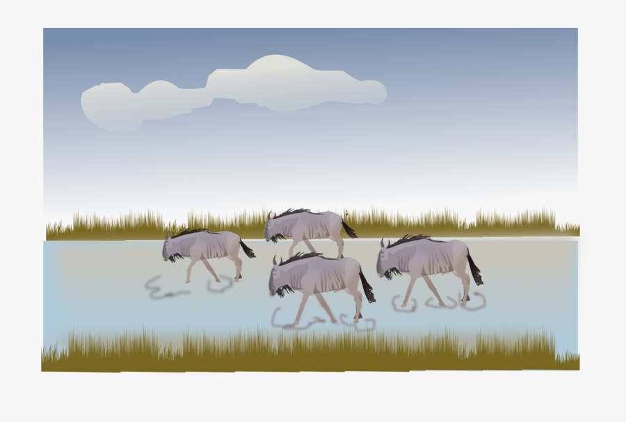 Wildlife,cattle Like Mammal,meadow - Mane, Transparent Clipart