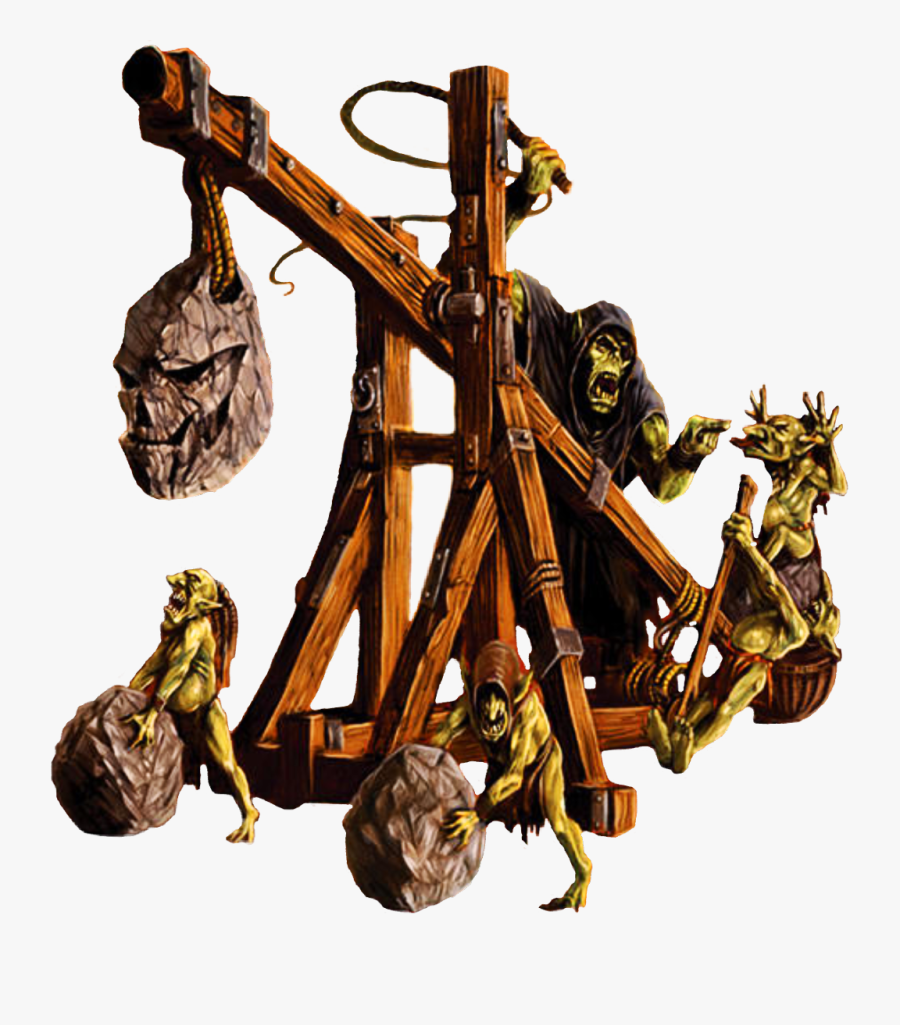 Walnut, Transparent Clipart