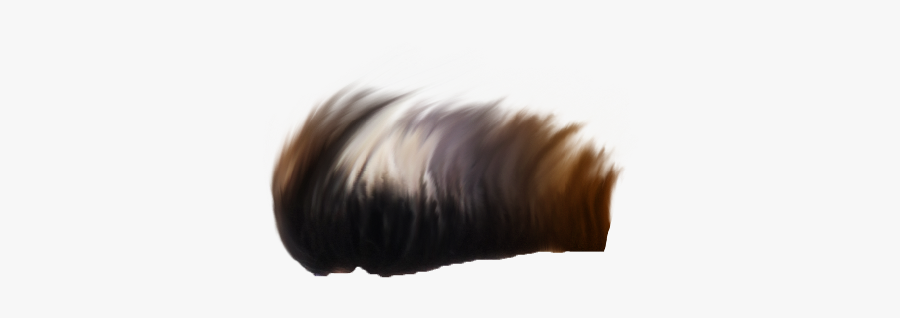 Hair,long Hair,beige,hair Coloring,liver,lace Wig,fawn,eyelash - Lace Wig, Transparent Clipart