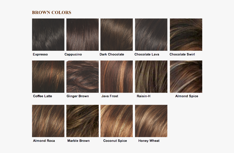 Clip Art Light Brown Hair Asian - Brunette Hair Colour Chart, Transparent Clipart