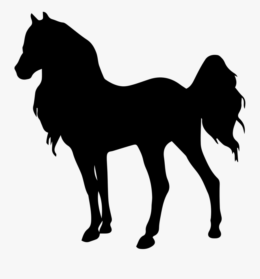 Horse Standing Young Animal Shape Of Long Hair, Transparent Clipart