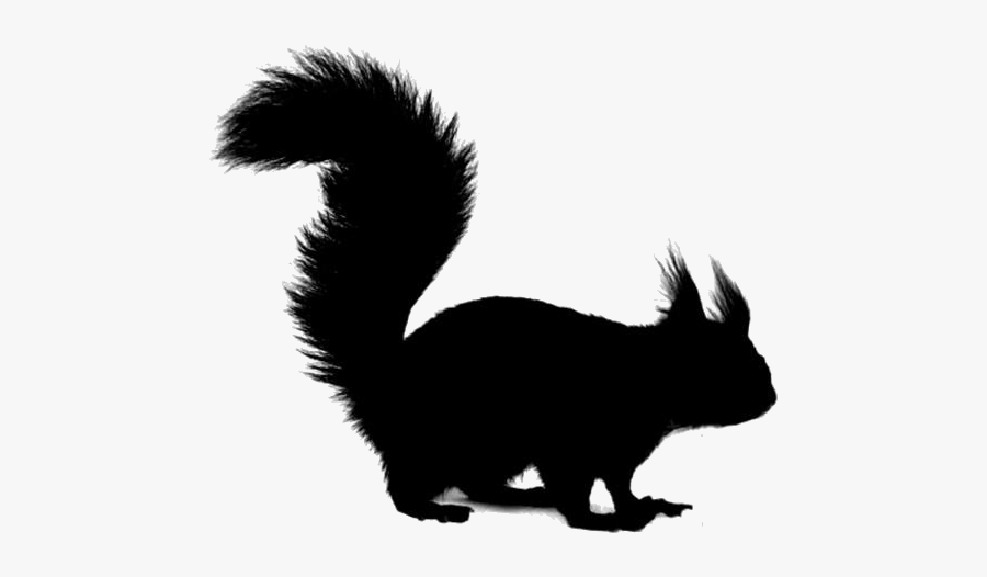 Squirrel Png Transparent Images - Fox Squirrel, Transparent Clipart