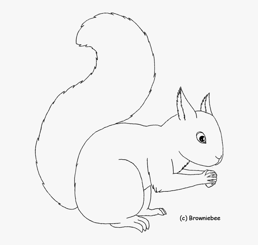 squirrel-lineart-outline-outline-images-of-squirrel-free