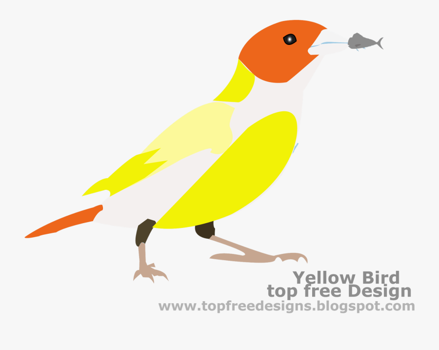 Bird Clipart - Finch, Transparent Clipart