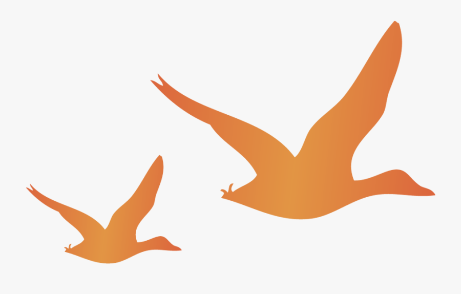 Flying Mallards, Small - Illustration, Transparent Clipart