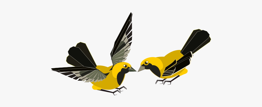 Flying Finch Clipart, Transparent Clipart