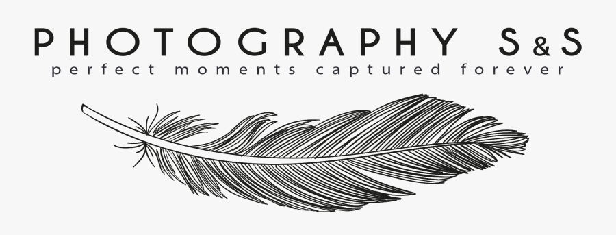 Png Logo For Photography - Photography Text Logo Png, Transparent Clipart