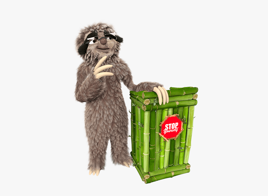 # - Raccoon, Transparent Clipart