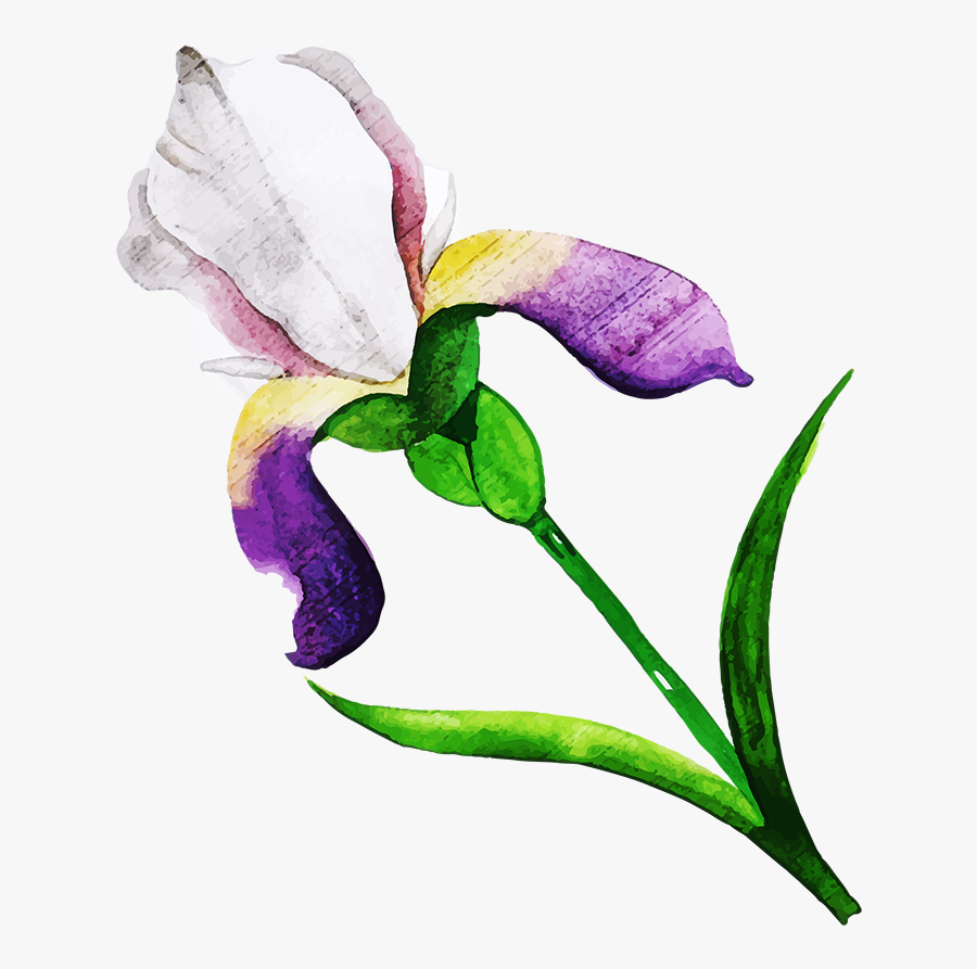 Free Png Floral Bouquets - Rosa Glauca, Transparent Clipart