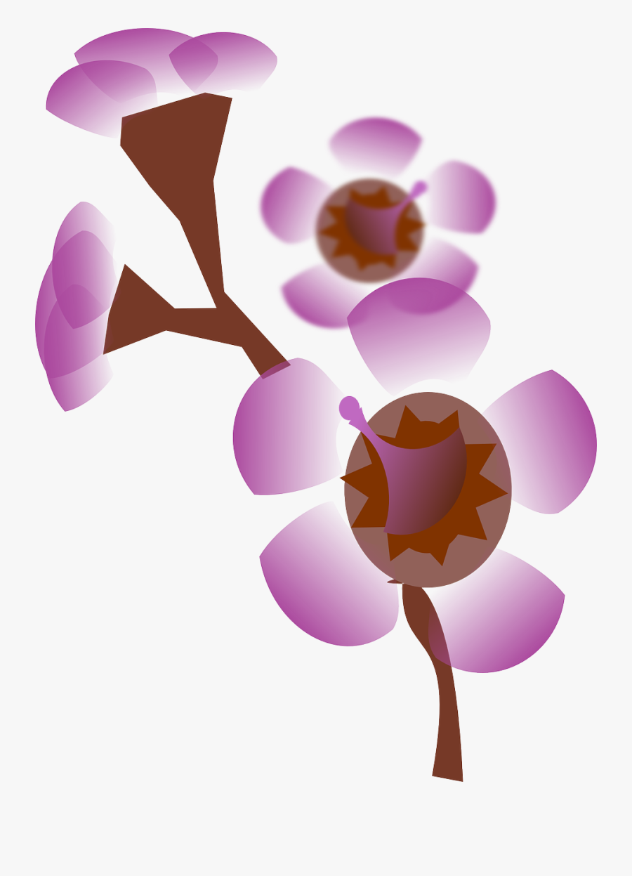 Flower Bouquet Pink Free Picture - ดอกไม้ กราฟฟิก สีชมพู, Transparent Clipart