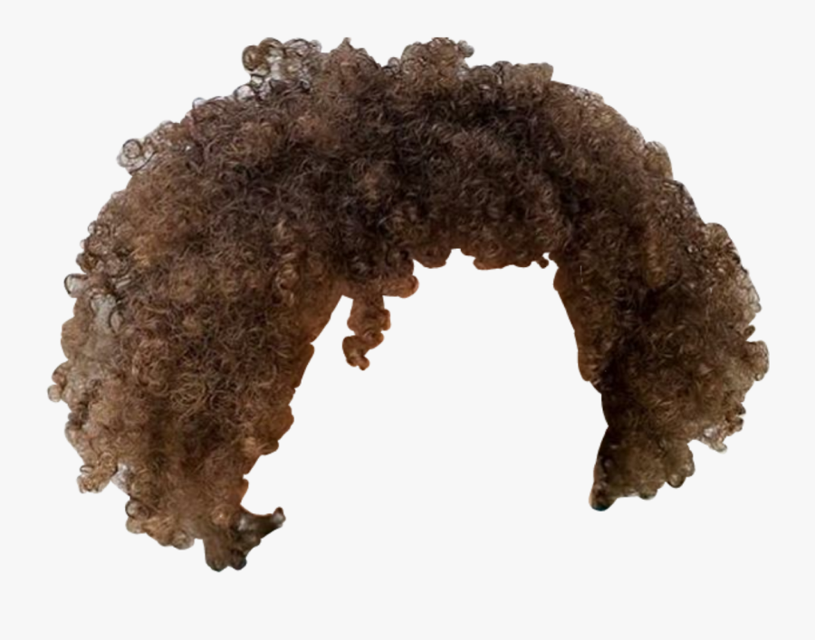 #afro #hair #brown #curls - Bob Ross Hair Png, Transparent Clipart