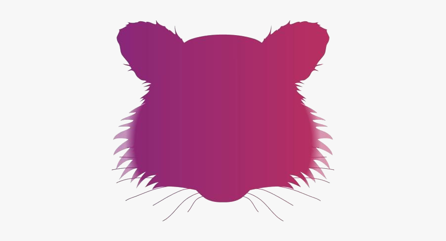 Raccoon Face Png Hd Image - Illustration, Transparent Clipart
