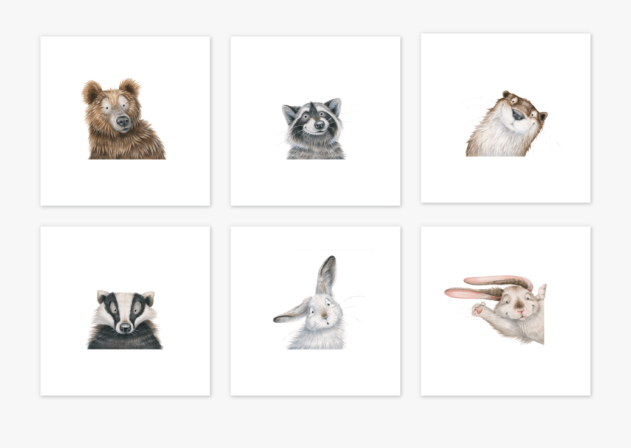 Raccoon Face Png - Grizzly Bear, Transparent Clipart