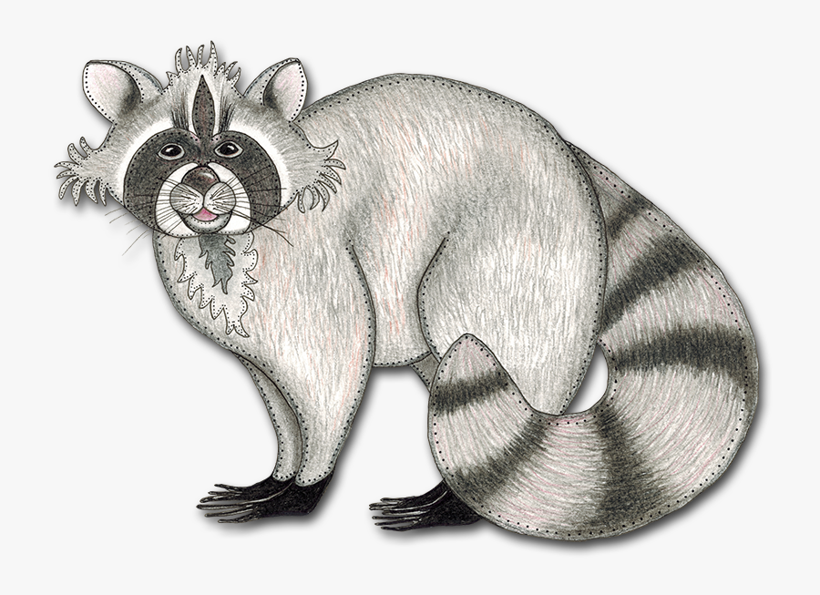 Transparent Raccoon Png - Procyon, Transparent Clipart