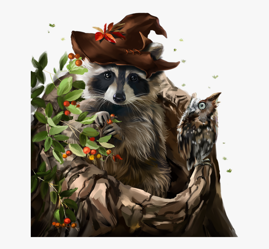 Liveinternet Explora Y Mucho - Raccoon Owl, Transparent Clipart