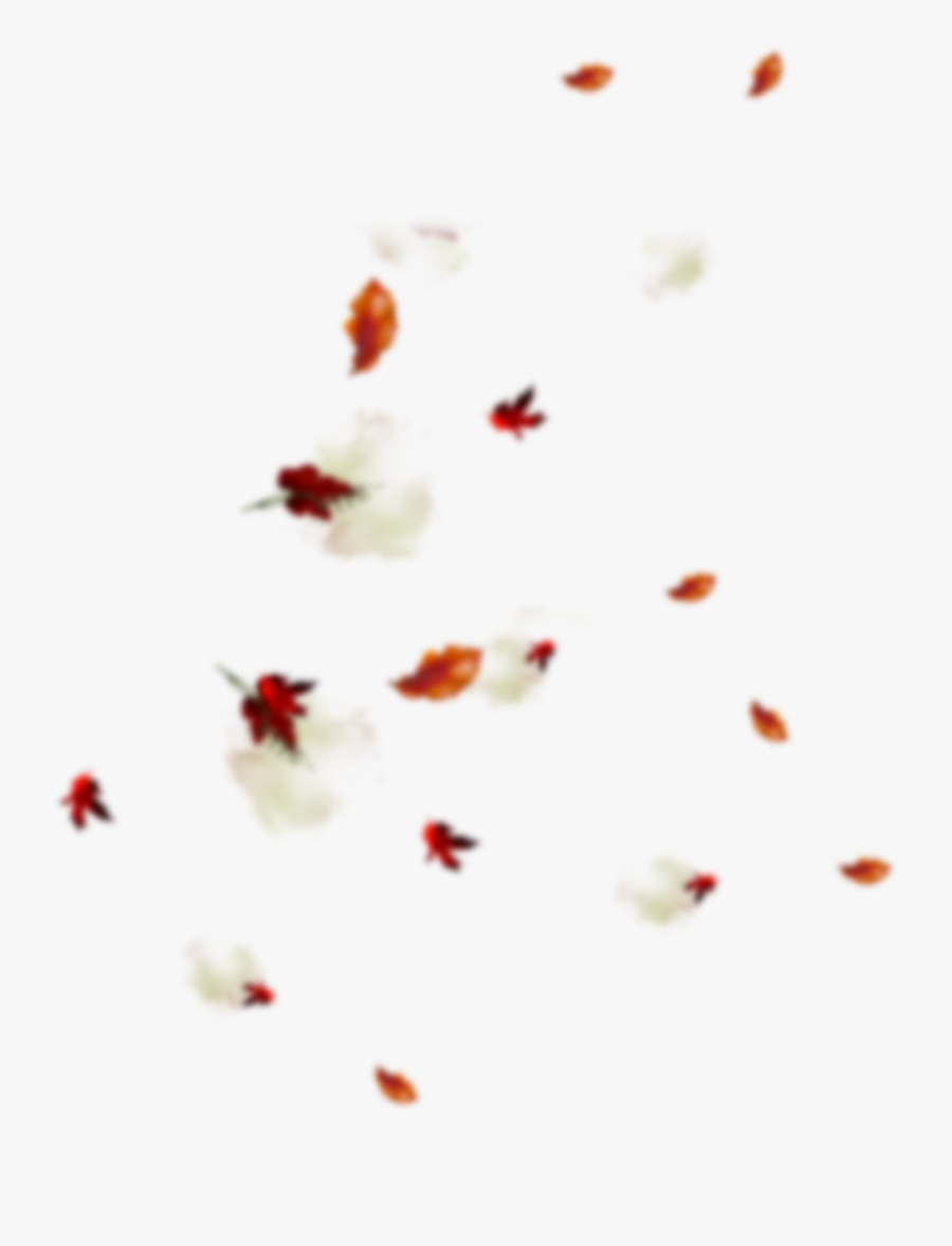 Leaf Blur - Insect - Insect, Transparent Clipart