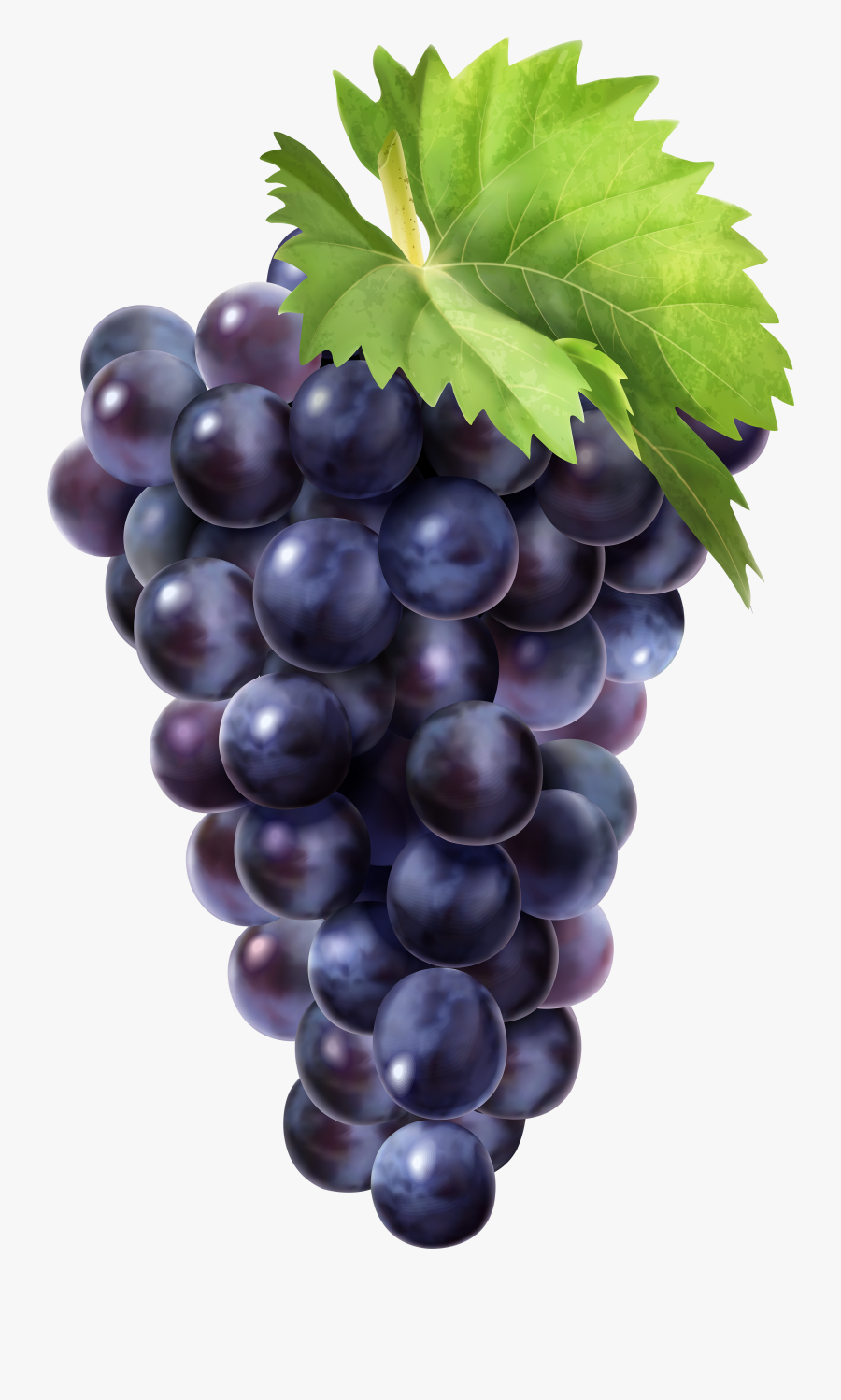 Black Grapes Clip Art - Blvk Unicorn Fruit Box Unigrape, Transparent Clipart