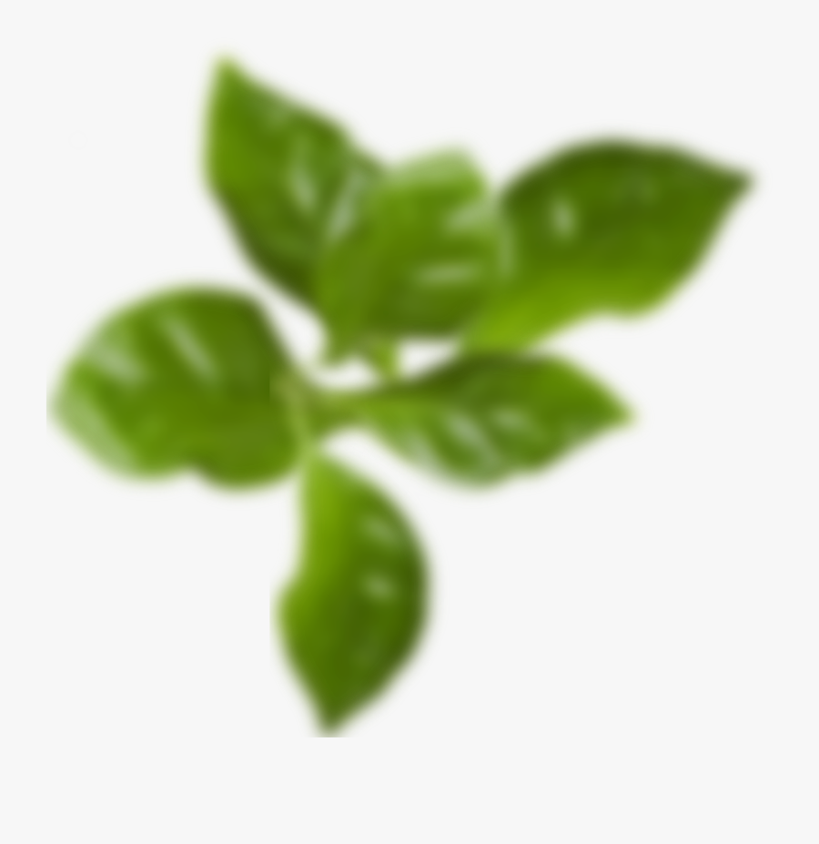 See Our Accessories - Png File Blurry Leaves, Transparent Clipart