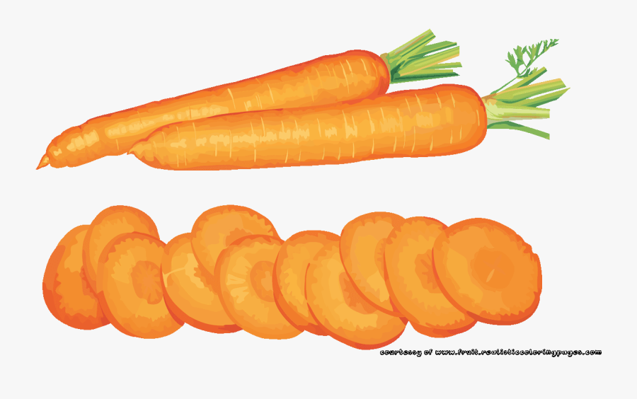 Carrot Free Graphic Arts - Carrot Sliced Cartoon Png, Transparent Clipart