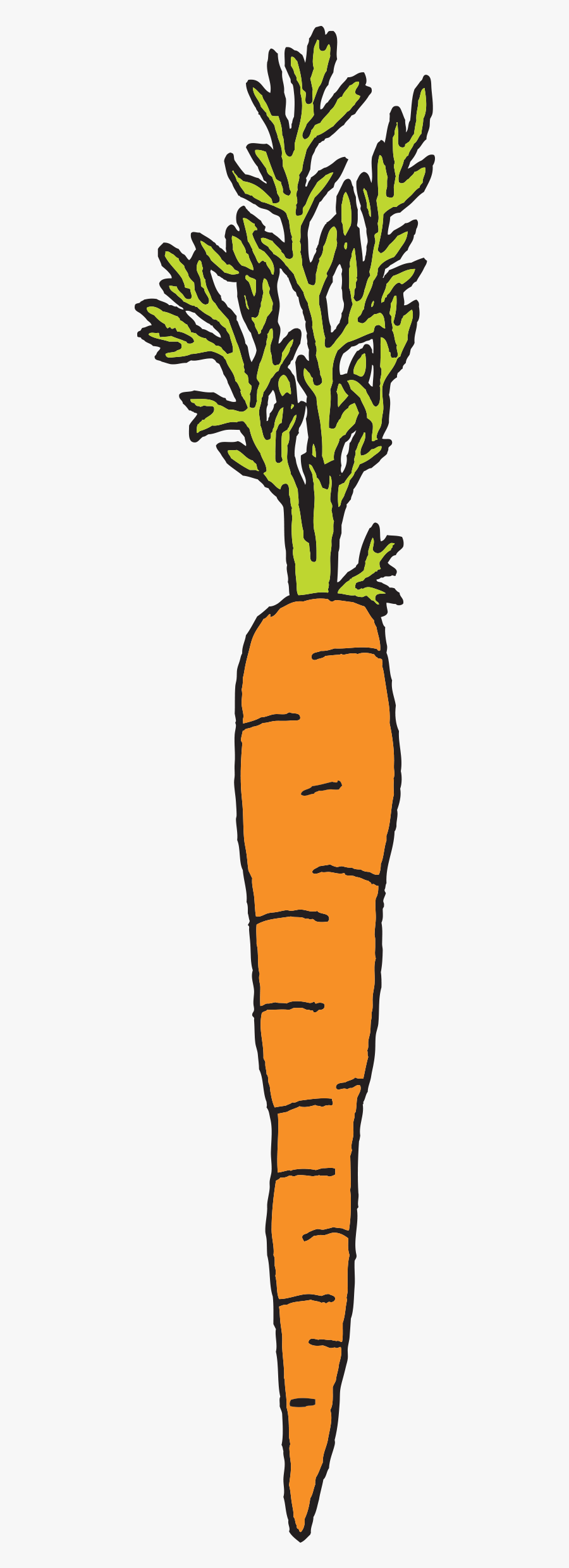 Clip Art Rysunek Pinterest Carrots Watercolor - Carrot, Transparent Clipart
