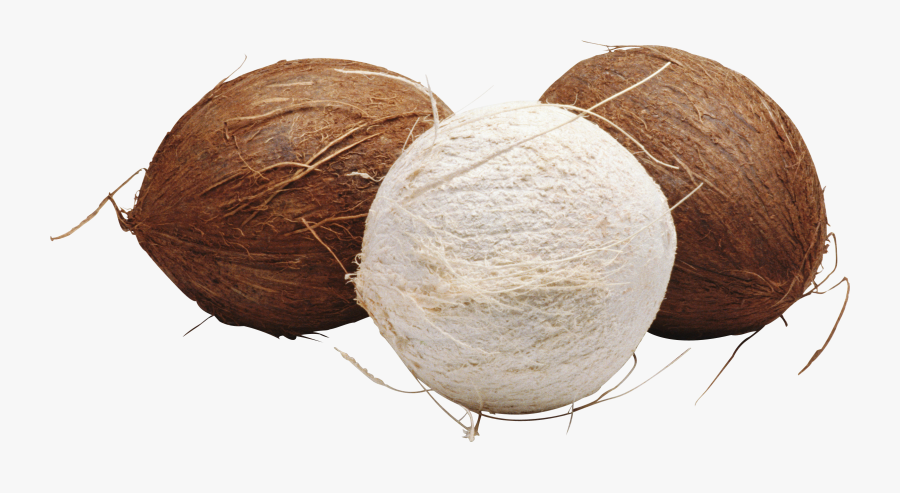 Coconut, Transparent Clipart