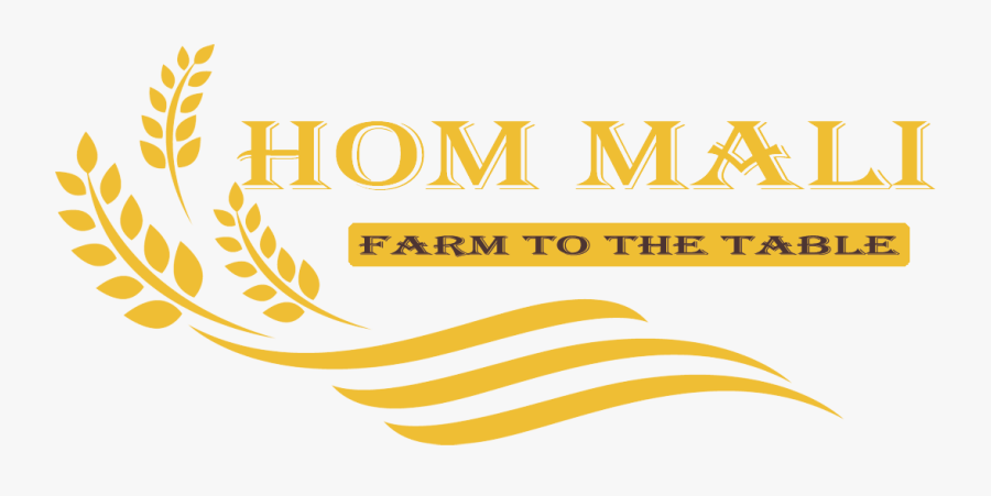 Graphic Design, Transparent Clipart