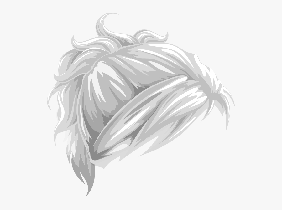 Hair Drawing Ponytail, Transparent Clipart