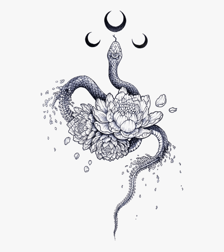 Alchemy Drawing Snake And Make T Shirt Together - Alchemy Snake & Moon, Transparent Clipart
