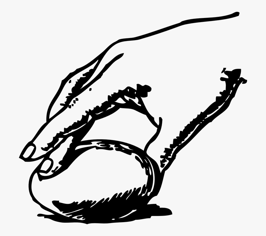 Egg, Hand, White, Bird, Spinning - Spinning Egg Clipart, Transparent Clipart