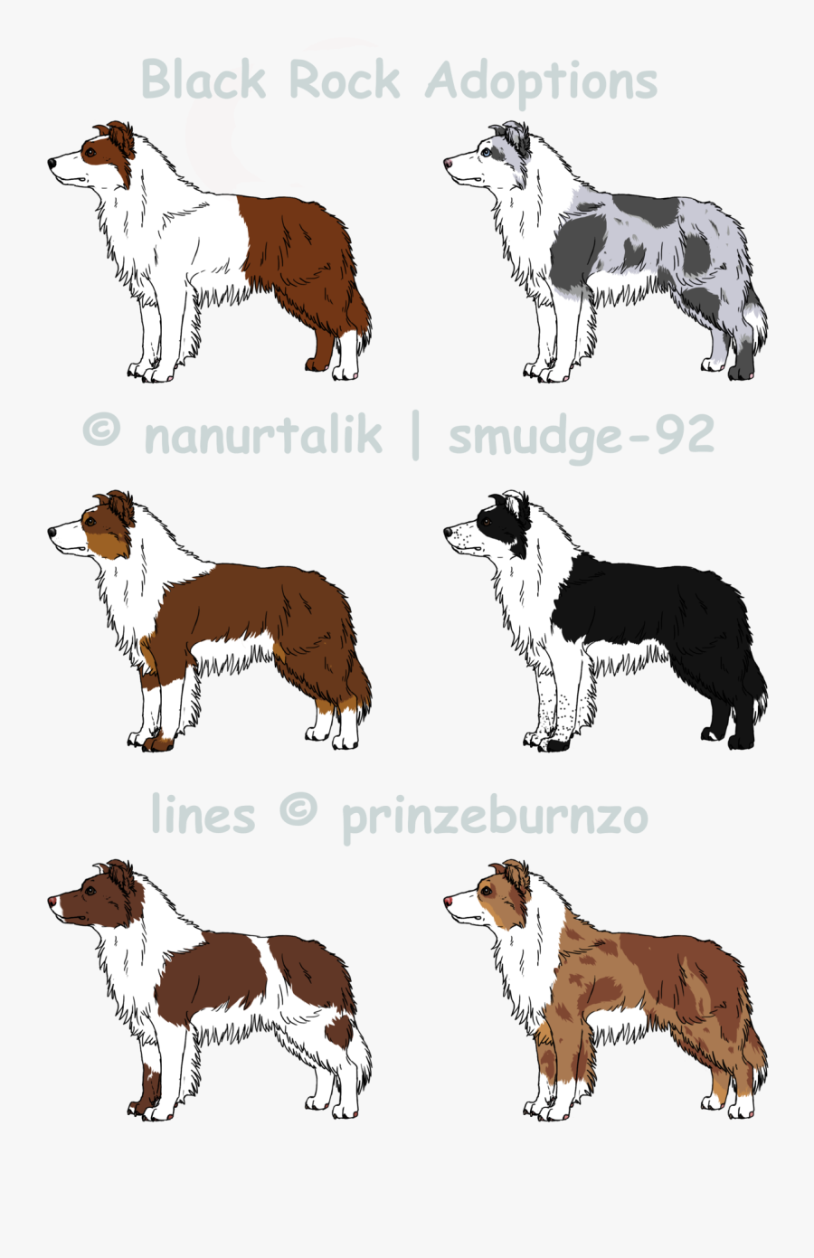 Blue Collie Breed Dog Companion Merle Border Clipart - Mane, Transparent Clipart