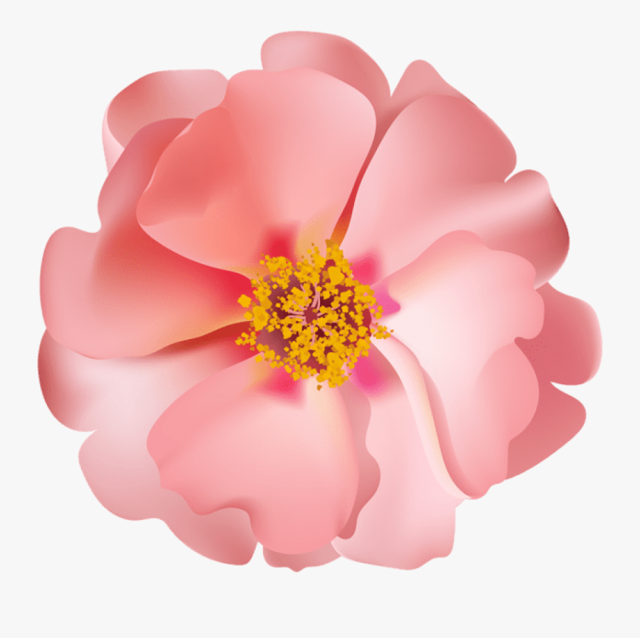 Free Png Rosebush Flower Png Images Transparent, Transparent Clipart