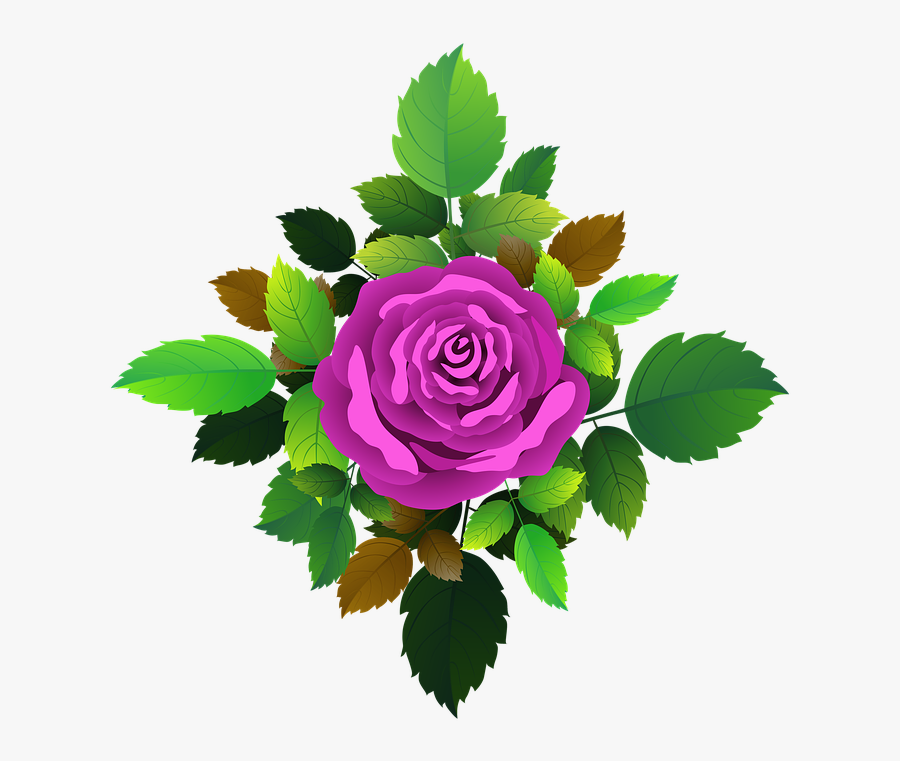 Transparent Rosebush Png - Floribunda, Transparent Clipart