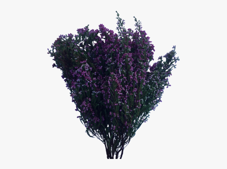 Flower Bush Png - Png Flowers Bush Transparent, Transparent Clipart
