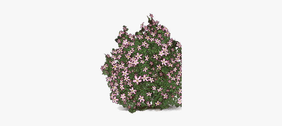 Rosebush Clipart, Transparent Clipart